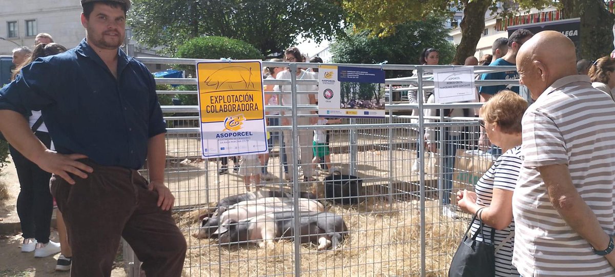 ASOPORCEL tweet media