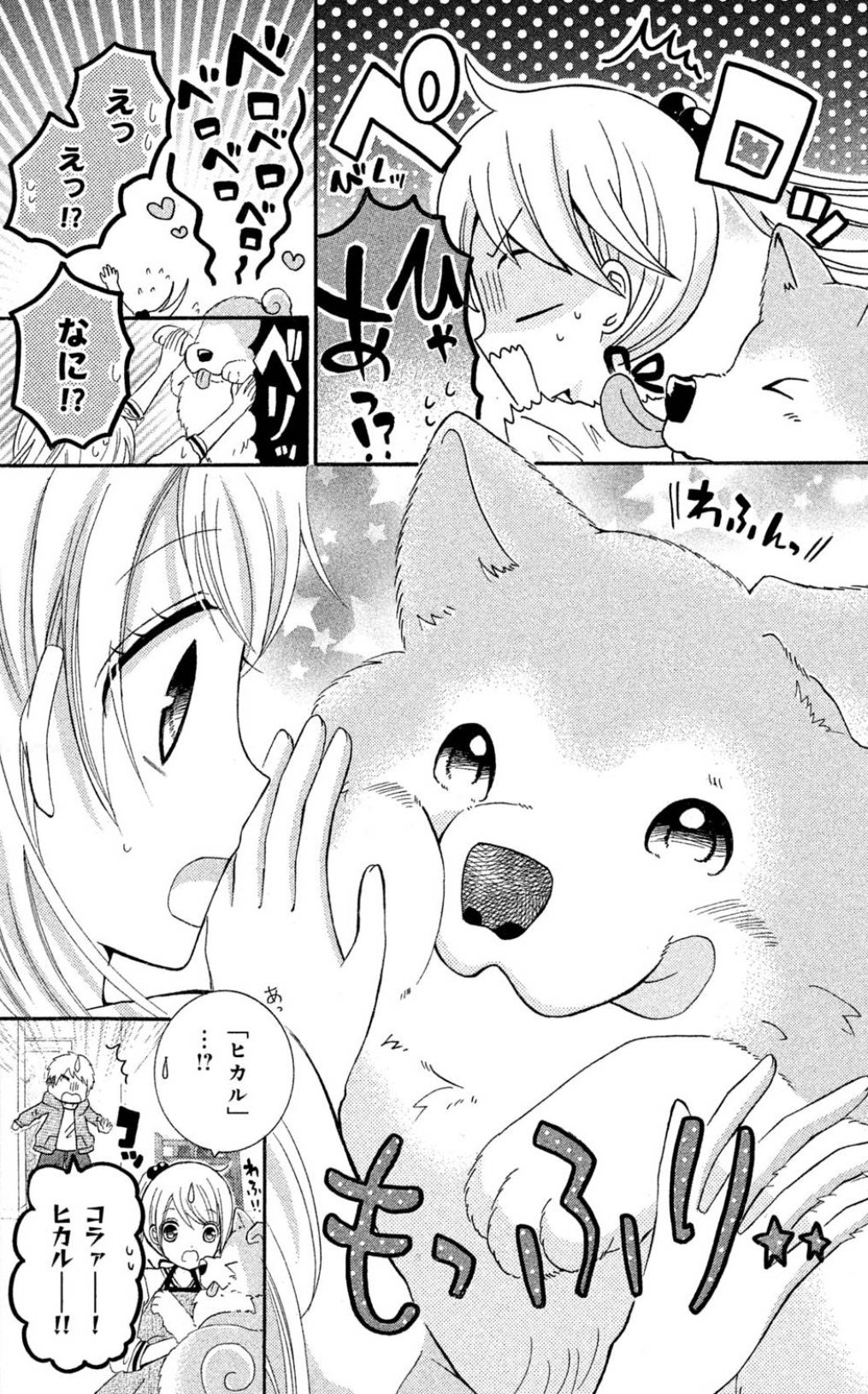 ゆずのどうぶつカルテ☆11冊 あんみつ】文庫まとめ売り/全31冊/四つ