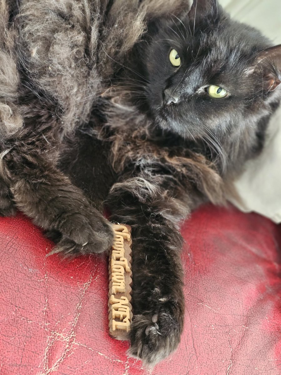 Weirdo at ClownTown tweet media