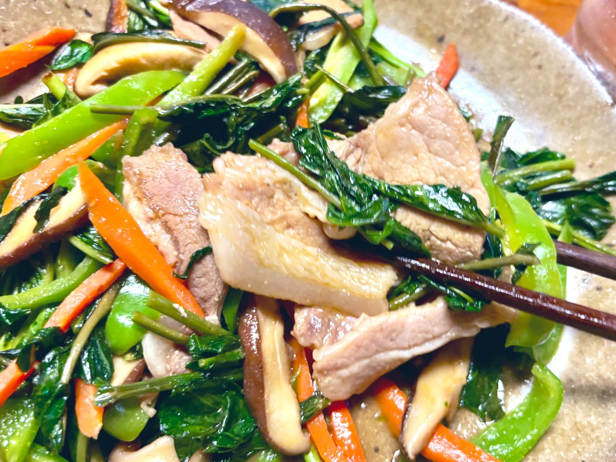 パクチーページ パクチー - Search / X