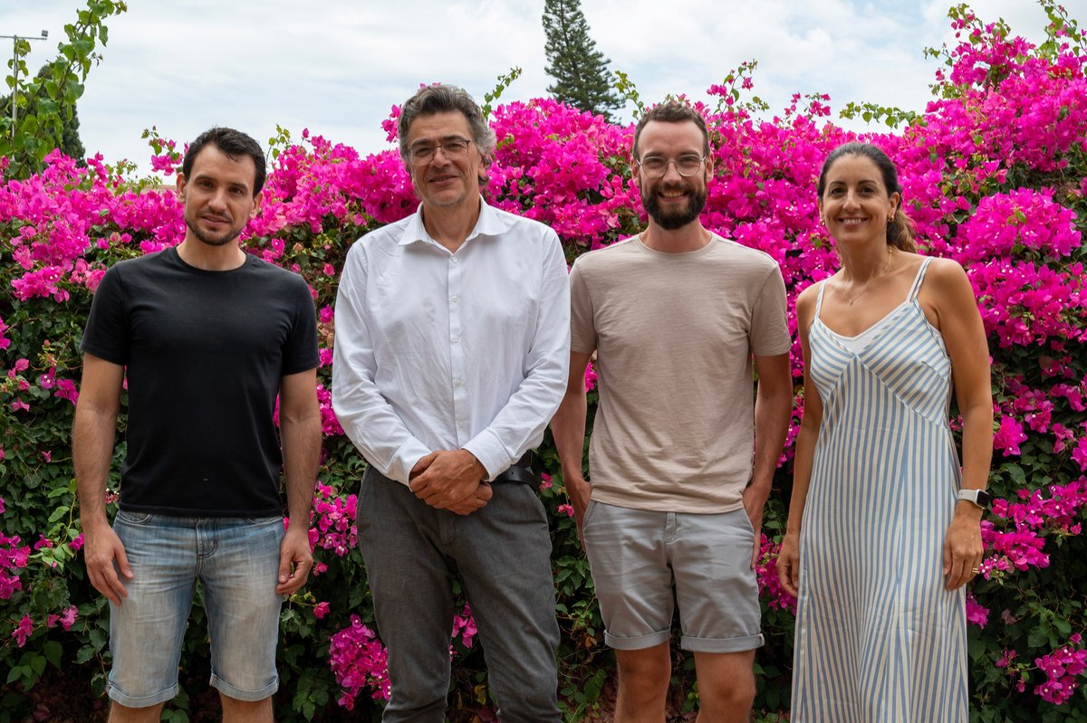 🔥A new study led by <a href="/BarcoLab/">BarcoLab</a> at <a href="/NeuroAlc/">Instituto de Neurociencias UMH-CSIC</a> is published on <a href="/CellReports/">Cell Reports</a> 🔝
Researchers show that the enzymes KDM1A &amp; KDM5C act as epigenetic guardians, silencing inappropriate genes to keep neuronal identity.
More info 👇
in.umh-csic.es/en/articulos/c…