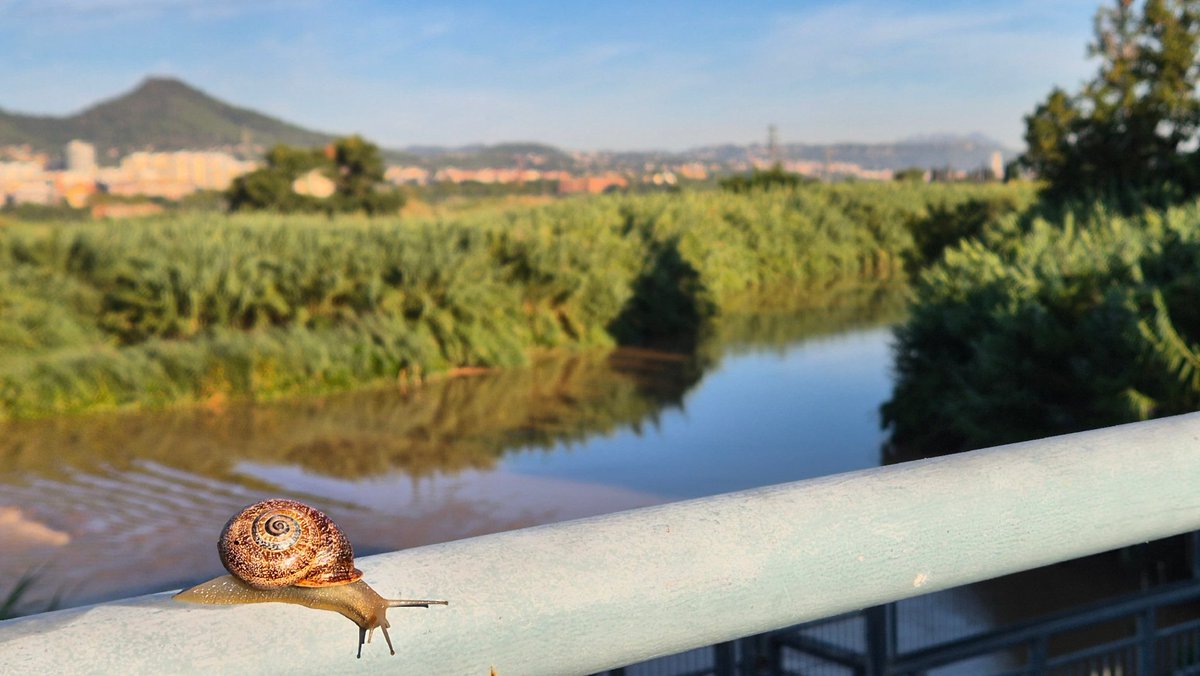 Visita especial avui per anar a la captació de l'#ETAPSantJoanDespí 🐌🥰

Aviat començaran a venir les que organitza el <a href="/MuseuAigues/">Museu de les Aigües</a>