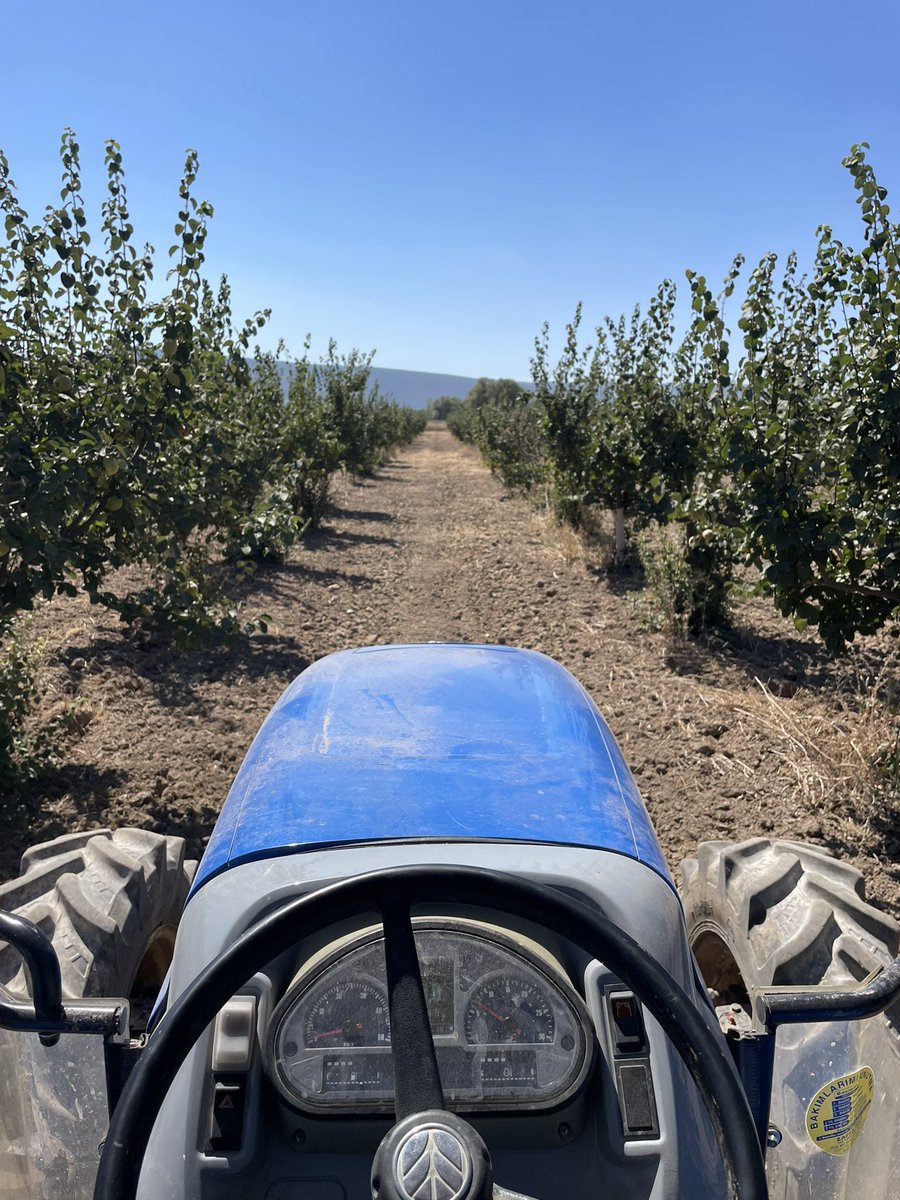 baktım güzel setup yok çıktım hemen bahçeye, 20 gün sonra benim yaz bitiyo istanbula dönüyorum buradayken tadını çıkarıyorum 🤑