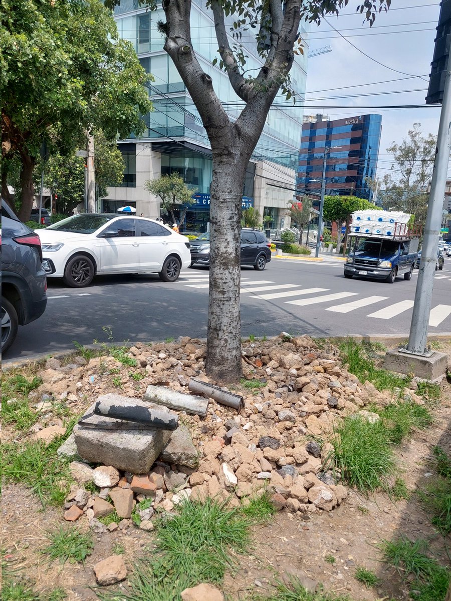 Vitarbol tweet media