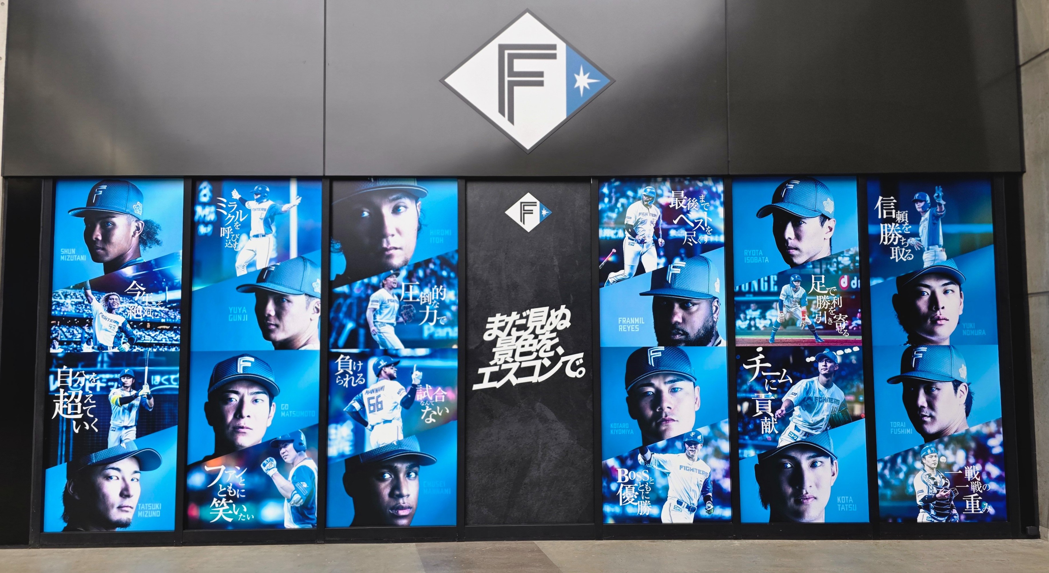 北海道日本ハムファイターズ グッズ【公式】 (@fighters_goods) / X