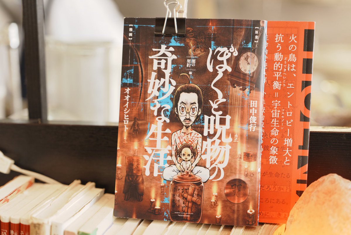 田中路人画・鯰の日本画掛け軸・父親が買った値段30万と書いて有り