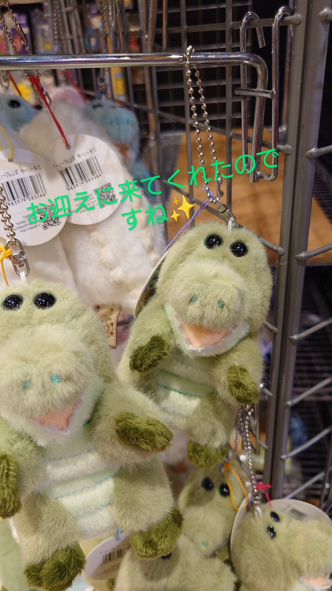 mof〈コンプリート〉ワーリー（Wally〜ぽんぽんいろいろ〜 ワーリー