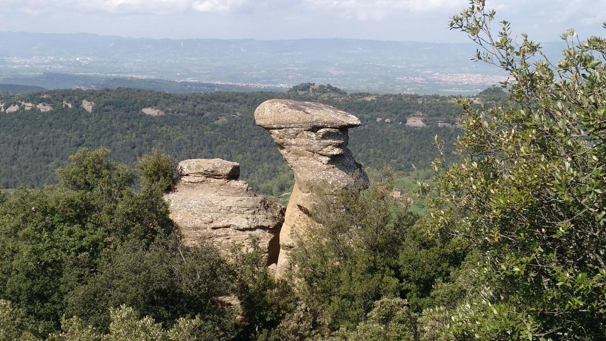 Bon dia amb el #patrimonideldia! El Barret d’en Perereda a #Tavertet és una roca ben curiosa. Es troba situat al capdamunt del puig d’en Perereda, en un espai concorregut pels excursionistes i amb vistes sobre el pantà de Sau: patrimonicultural.diba.cat/element/barret… <a href="/OsonaTurisme/">Osona Turisme</a> <a href="/CulturaDIBA/">Cultura Diputació Barcelona</a>