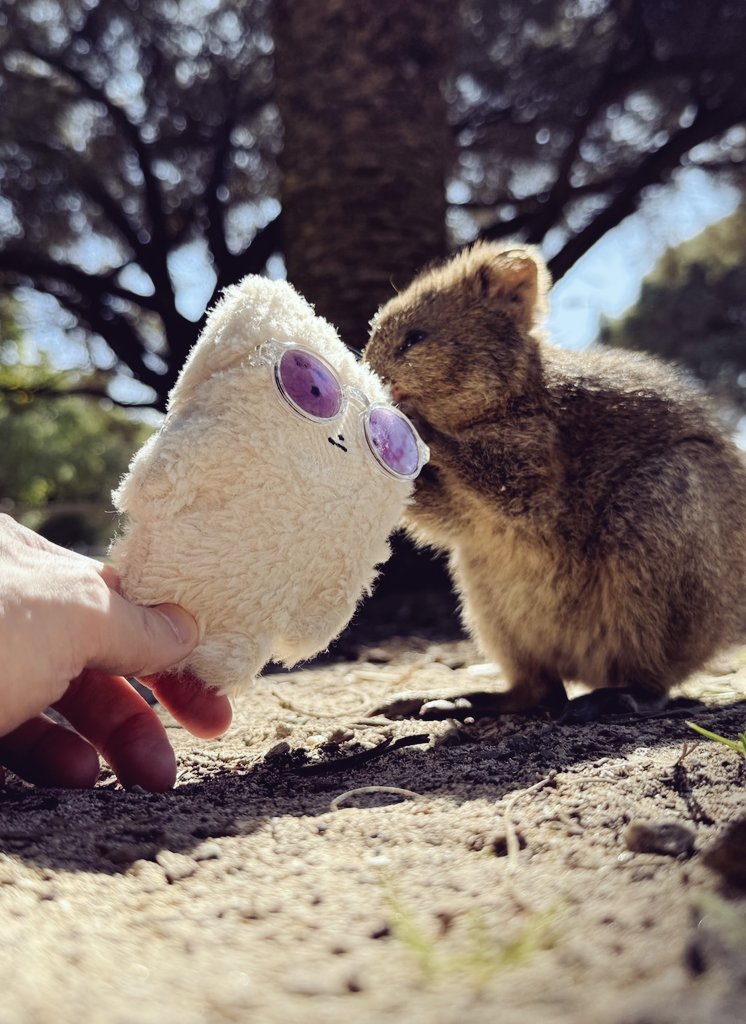 毛づくろい　してくれた