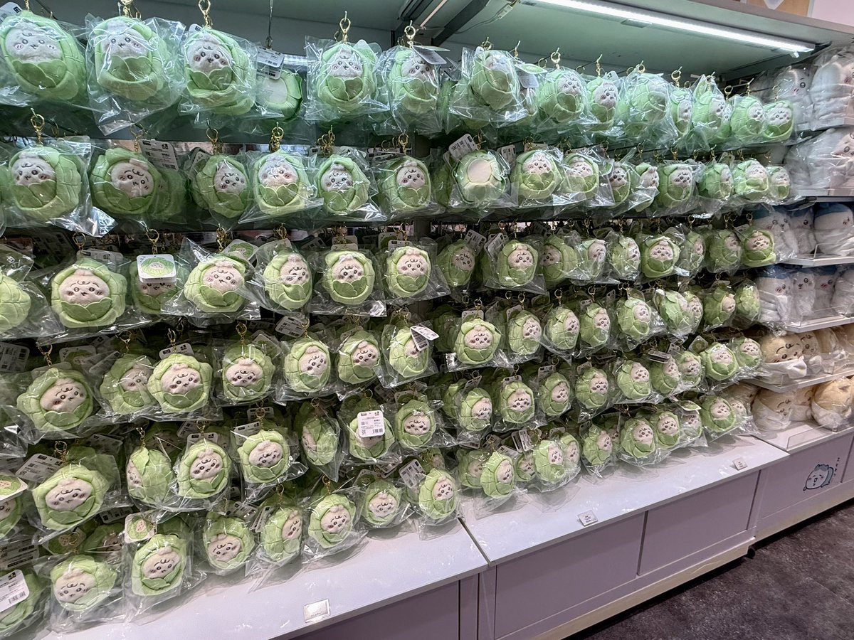 最高すぎたキャベツ畑🥗
