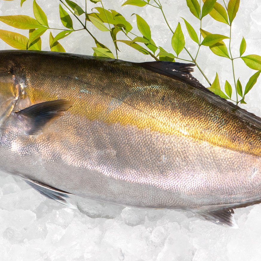 かわうそさん カワウソグッズ工房 على X: 