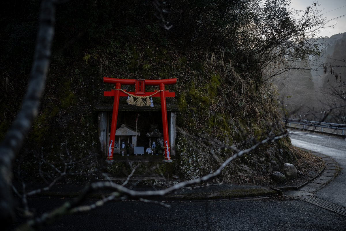 星野村 初冬