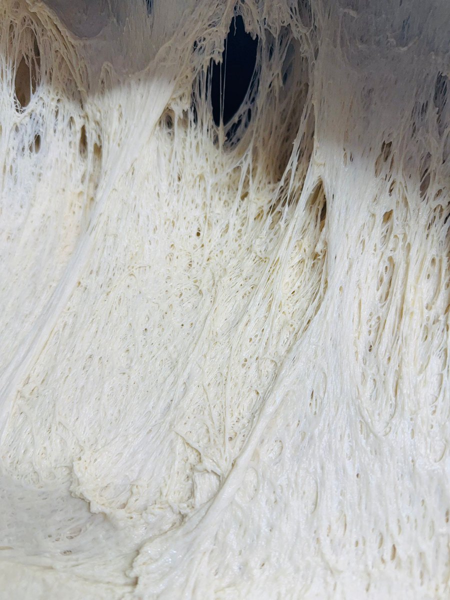 EliteMeatGordon's tweet image. There’s no shortcuts to making the perfect sourdough loaf - just patience, skill and a whole lot of love for #realbread. 🥖

From the first mix to the final bake, every stage takes time. That’s why our #sourdough has the flavour, structure and a crust you can’t rush. 🤩