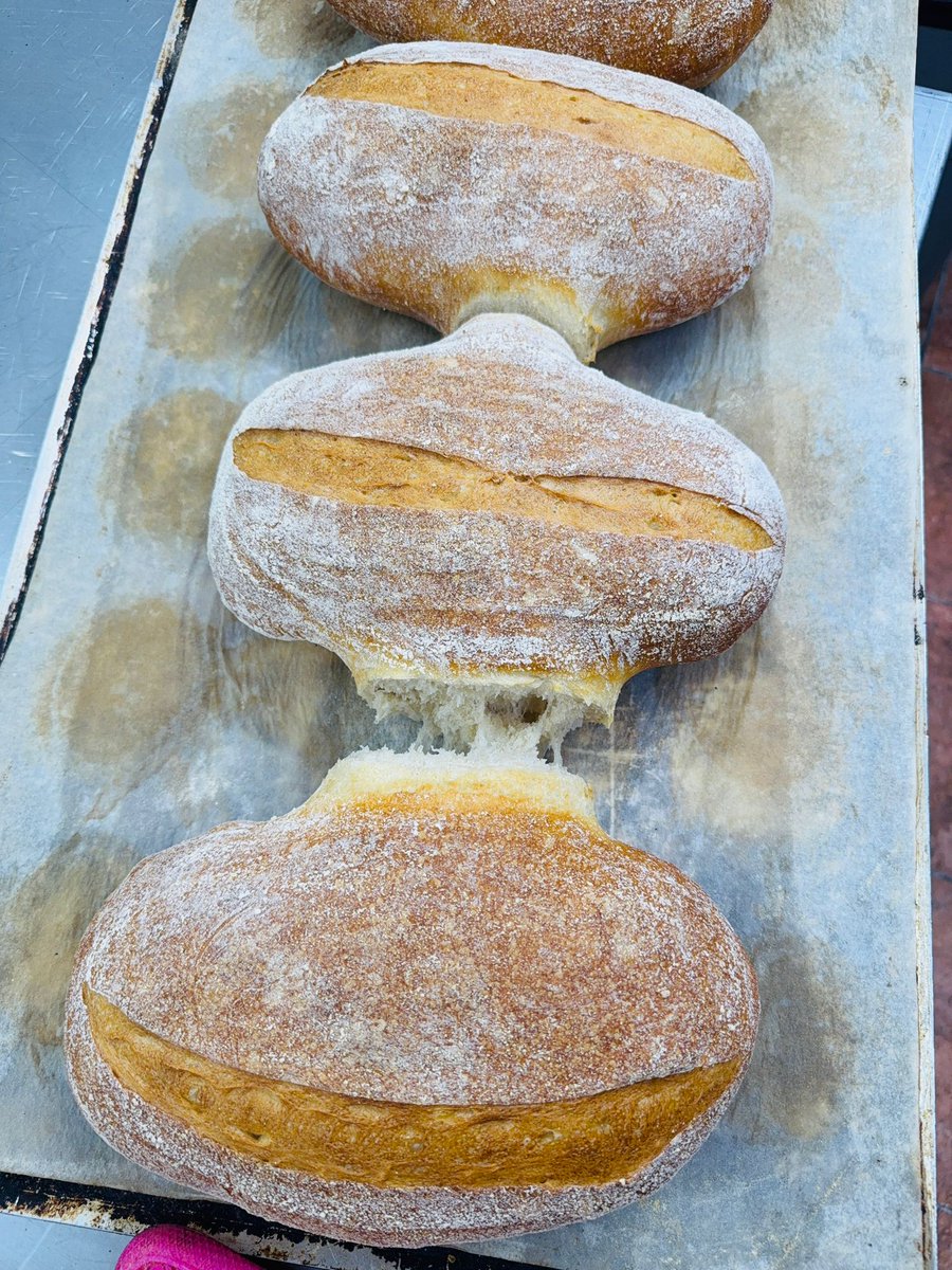 EliteMeatGordon's tweet image. There’s no shortcuts to making the perfect sourdough loaf - just patience, skill and a whole lot of love for #realbread. 🥖

From the first mix to the final bake, every stage takes time. That’s why our #sourdough has the flavour, structure and a crust you can’t rush. 🤩