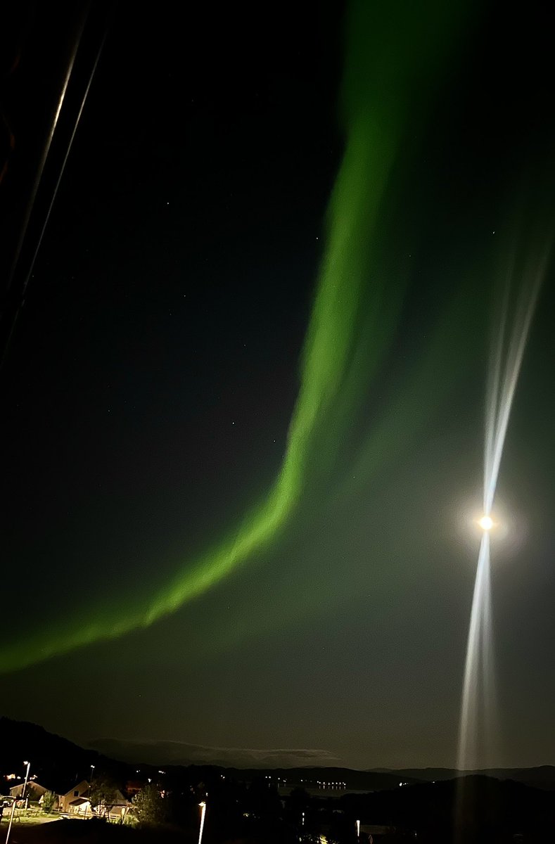 Line | The Valkyrie tweet media