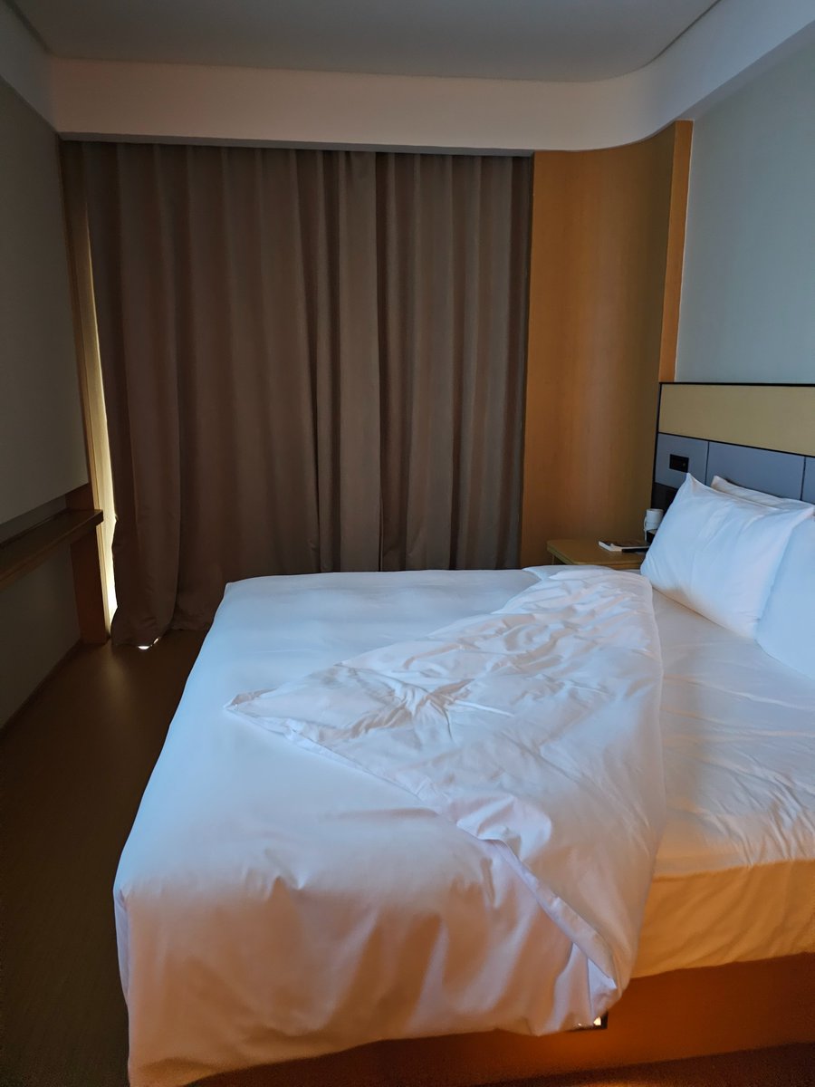 我也被放鸽子🐦了