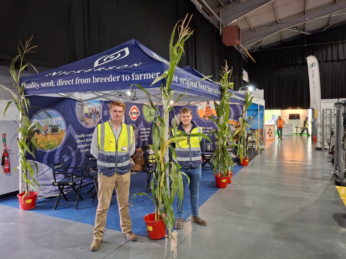 Nickerson Seeds UK tweet media