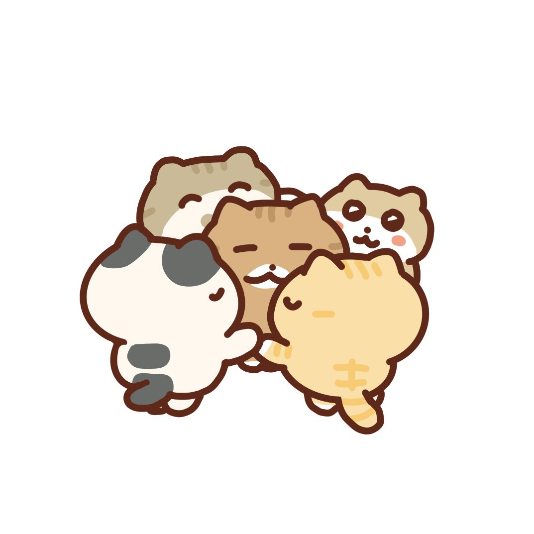 난🐱 (@luv_nan2) on Twitter photo 