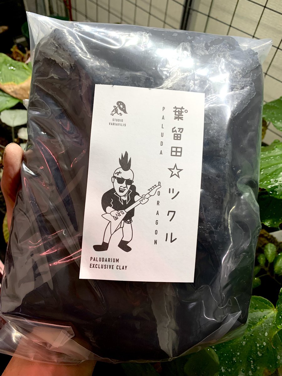 📢葉°留田☆ツクル 2kgパック販売開始!
ねんどちゃん(葉°留田ねんど)のお兄ちゃんであるツクルくん。これまでイベントのみの販売でしたがパルダマン公式ラインで受注&amp;販売を開始しました。

炭の力で抗菌パワーアップ!
シックな黒が植物の緑を強調!

只今キャンペーン中