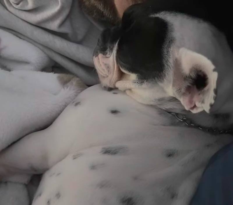 I lost him… and it hurts