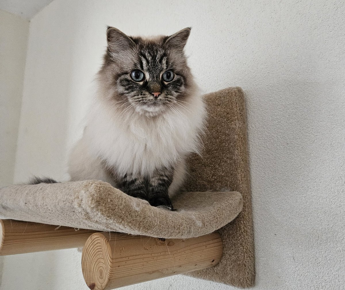 Casper & Yuri tweet media