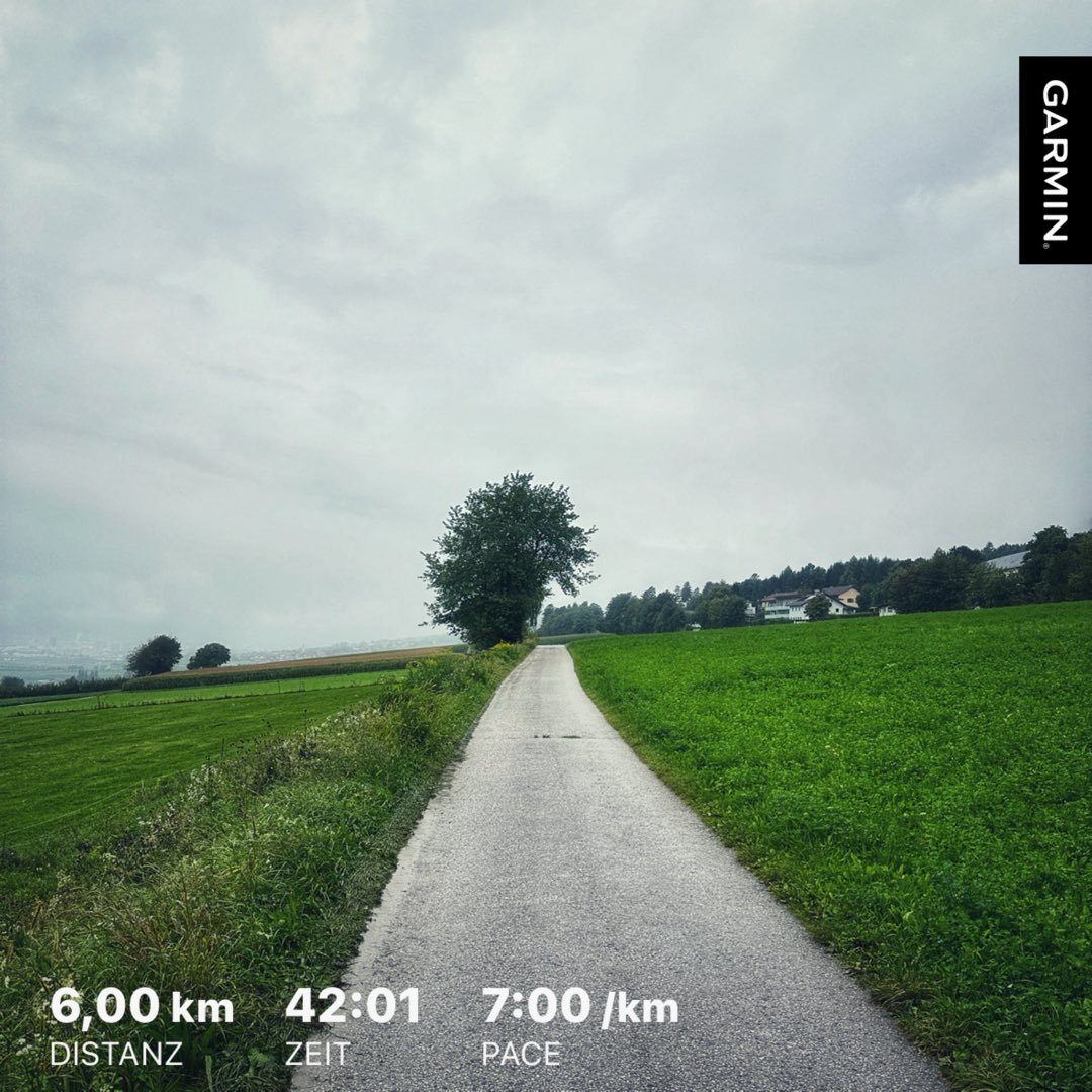 HaraldHolzhamm1's tweet photo. ..wet morningrun.. #absam
#timetoplay #shotoniphone #keeponrunning #visionofpictures #nevernotrunning https://t.co/LPL8OEdW9e