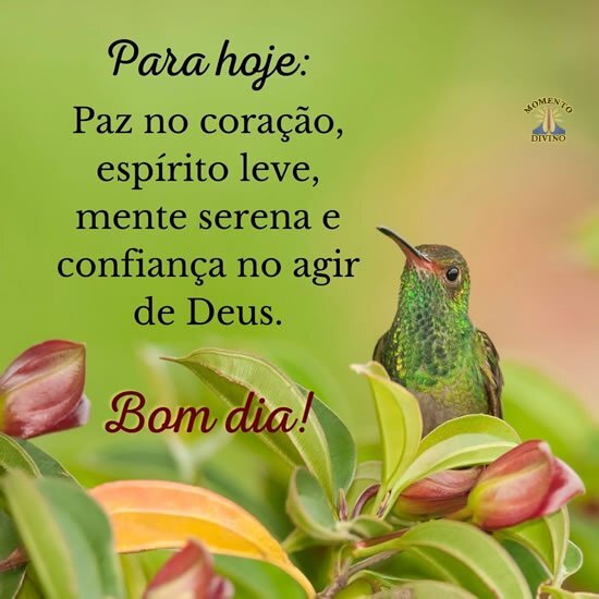 Desejo à todos um dia lindo e abençoado.🙏👍♥️🌹