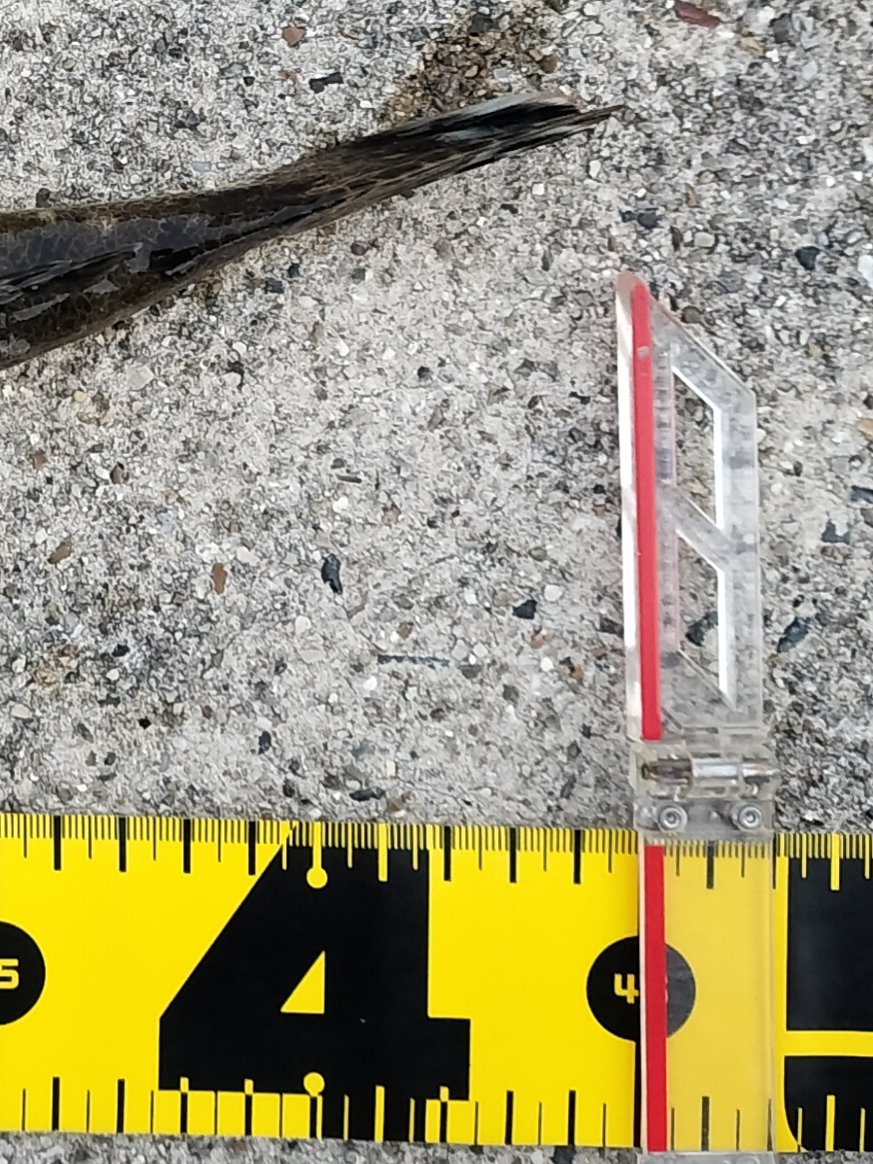 3ヶ月ぶりの知多マゴチ復帰戦
やっぱ俺この釣りが好っきゃわ