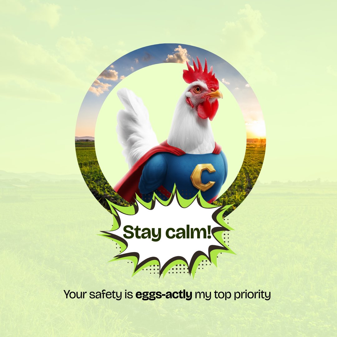 the_graphina's tweet image. #DesigNation

When you see a task like this, I’m guessing the first thing that comes to your mind is photo manipulation, right?

Well, That was the first thing I thought of but I’m shi.t at it so I just did this instead 

The chicken show Abi e no show?😂