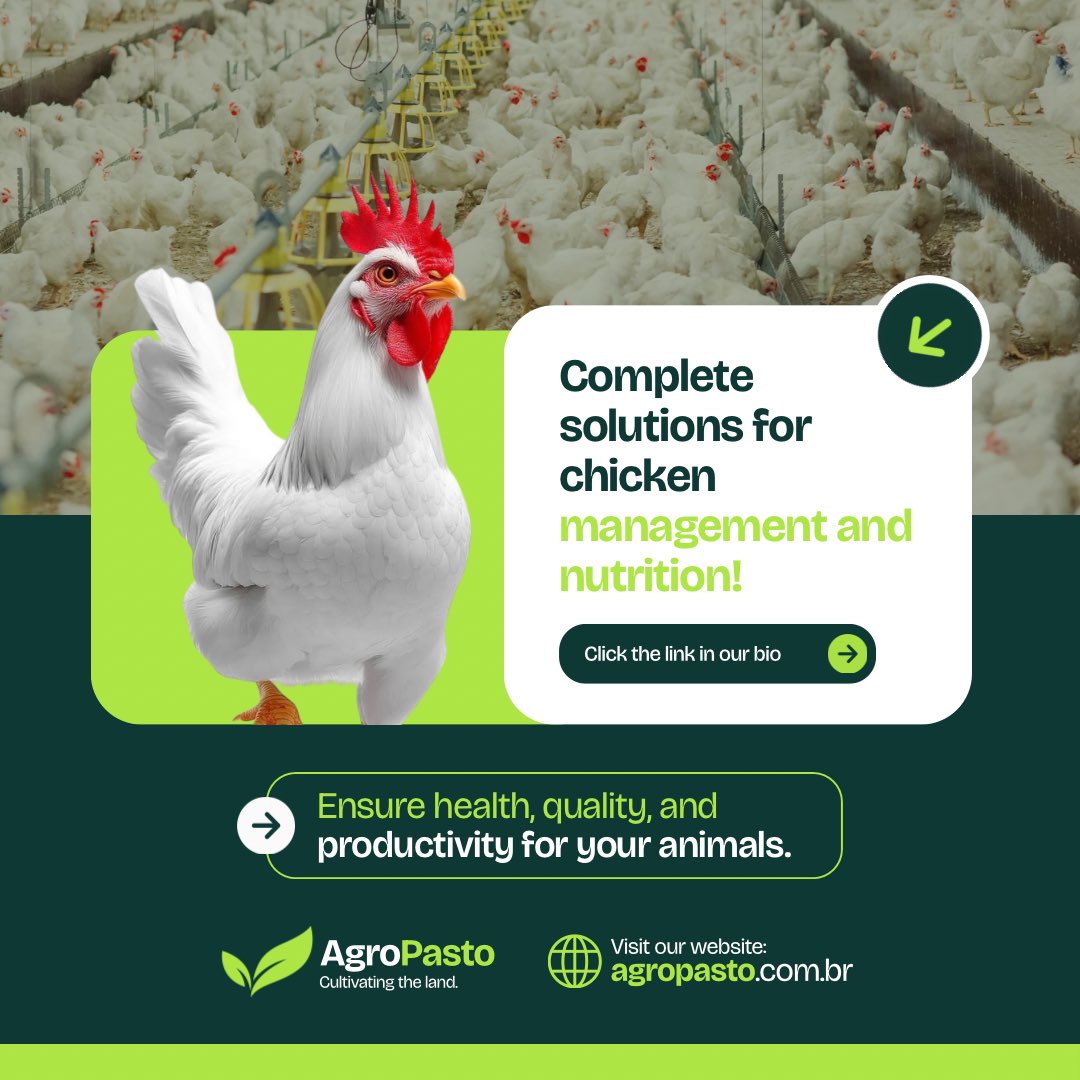 the_graphina's tweet image. #DesigNation

When you see a task like this, I’m guessing the first thing that comes to your mind is photo manipulation, right?

Well, That was the first thing I thought of but I’m shi.t at it so I just did this instead 

The chicken show Abi e no show?😂