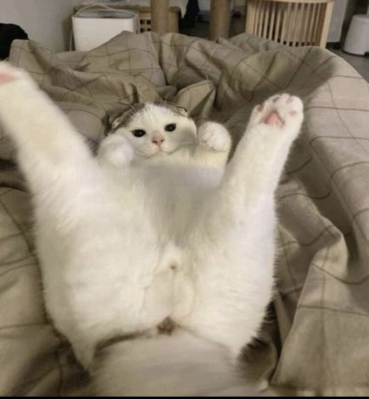 "Entrepreneurs" will be in hotel rooms and Lodges hustling for iPhone 17 this weeked