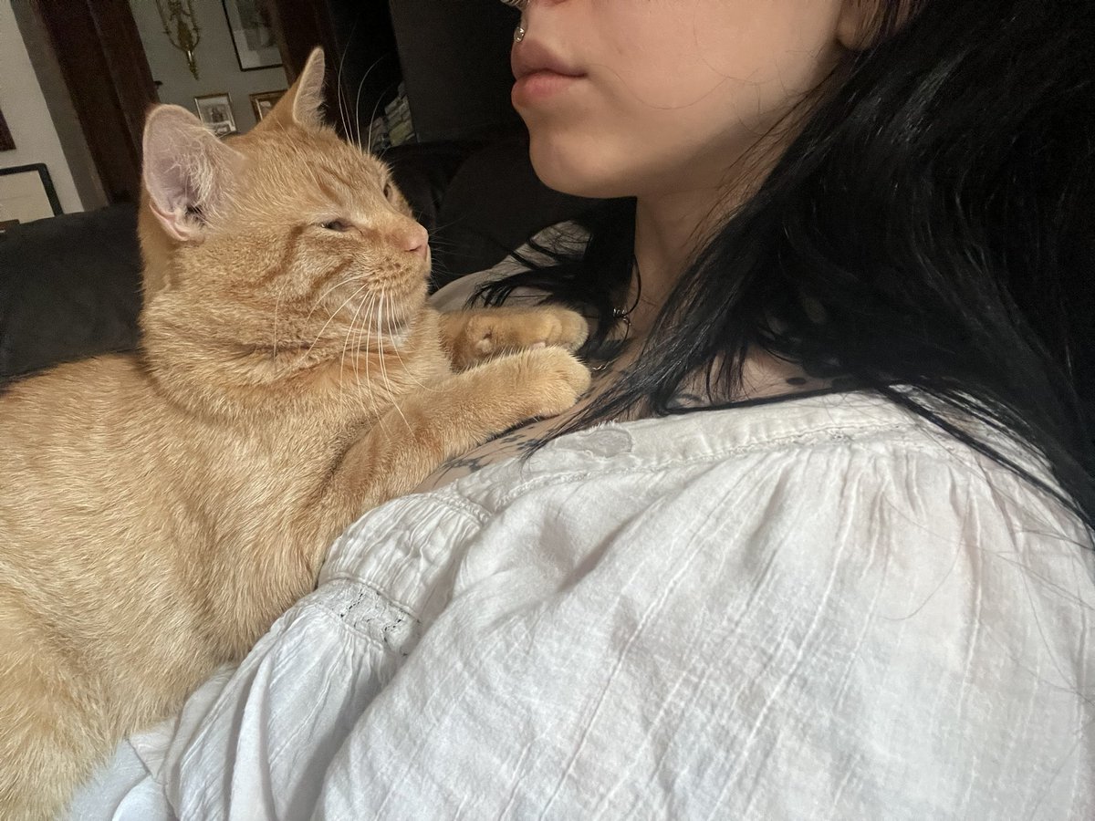 Everyone say hi Teddy