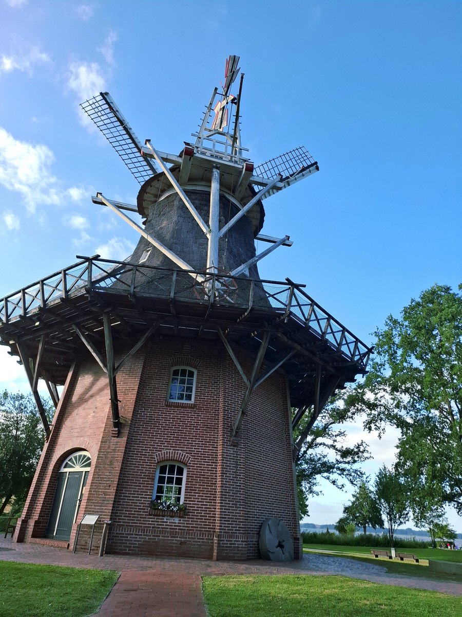 It’s “Whatever Wednesday”! Share whatever you like!