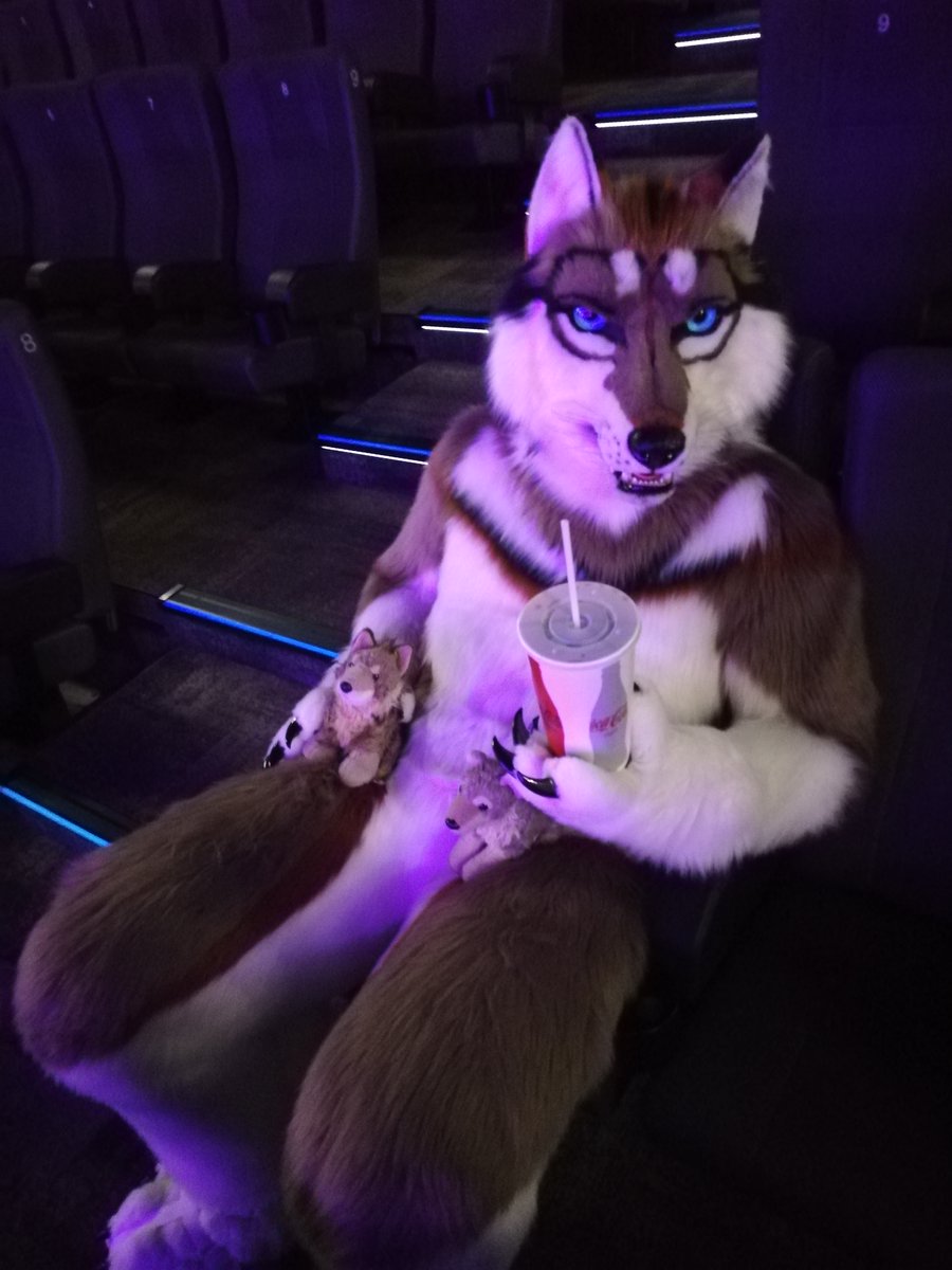 Noch sitzt er allein im großen Kinosaal.
Doch Zoomania 2 steht an und er konnte es einfach nicht mehr abwarten!
Und ihr könnt ihm schon bald Gesellschaft leisten, denn am 30.11. geht's nach einem kleinen Suitwalk in Meiningen direkt in den Kinosaal, egal ob mit oder ohne Suit!