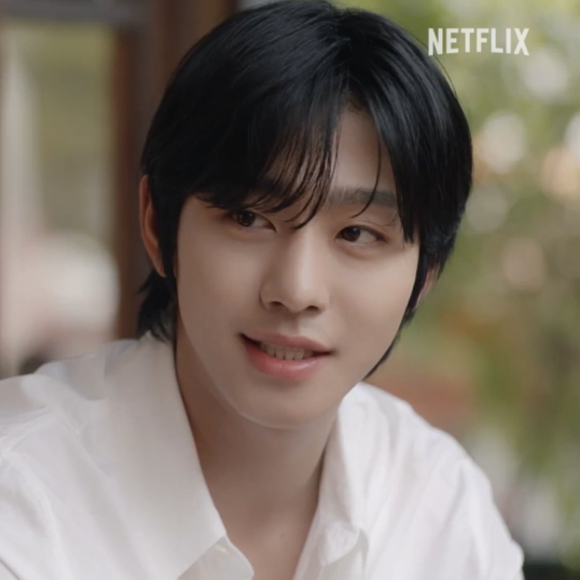 청순미남강아지