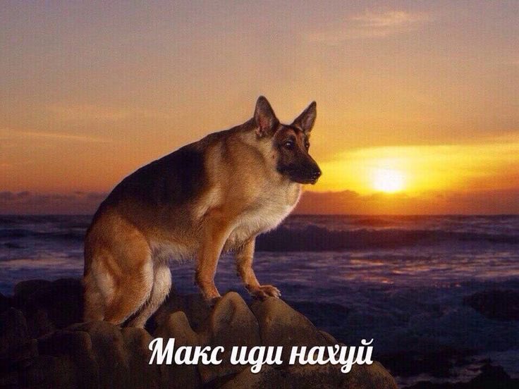 протесты в Непале из-за запрета соцсетей: пожары, погибшие, отмены авиарейсов, отставка премьер-министра
протесты в РФ: