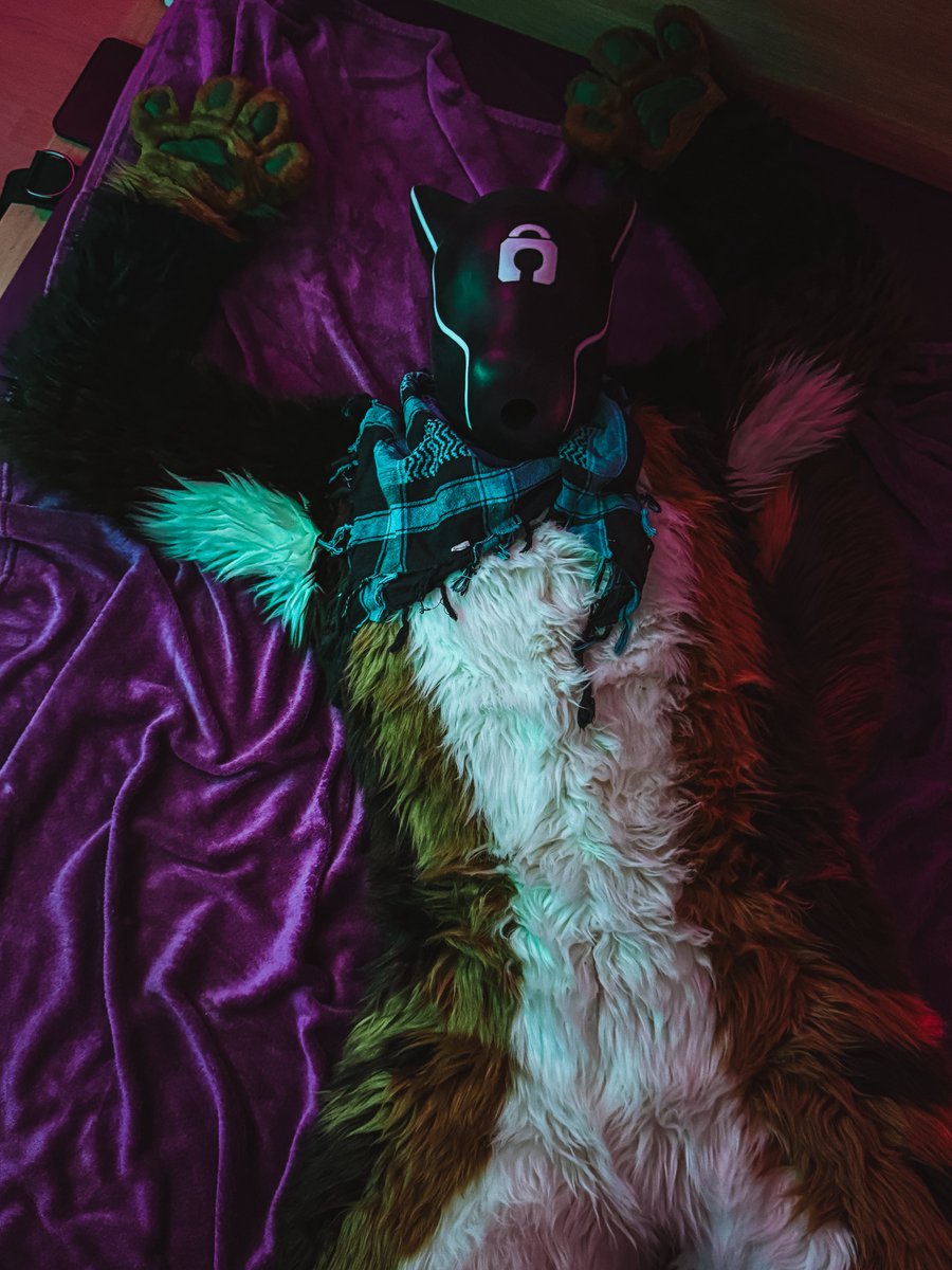 Trax / SewDog 🔜 NFC/FWA tweet media