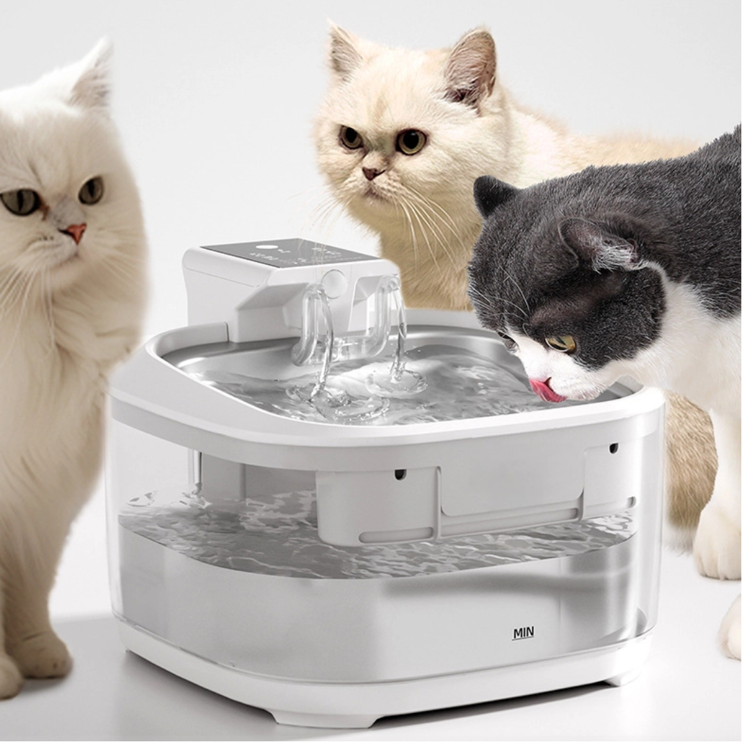 Upickpickstore's tweet photo. Fresh, safe water for your pets 🐾
4.5L smart stainless steel fountain, automatic circulation, quiet &amp; easy to clean — perfect for cats &amp; dogs 🐶🐱
👉 https://t.co/8Y1ylcb4n4

#SmartPetFountain #PetHydration #CatAndDog #PetCare https://t.co/zOnMi502xl