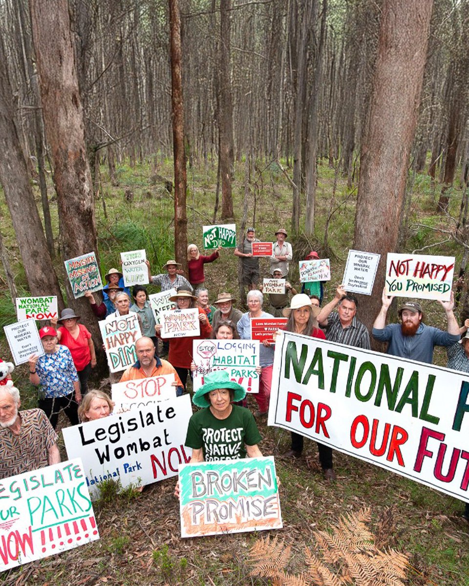vnpatweets's tweet photo. @Steve_Dimo @LilyDAmbrosioMP @JacintaAllanMP So Let’s celebrate today - and tomorrow, let’s keep standing together to make sure this bill passes and these parks get the protection, care and funding they deserve.

Thank you all again for all your hard work over the years.

Read more here: https://t.co/JErRP4uBLS https://t.co/6ccQrTNQ5H
