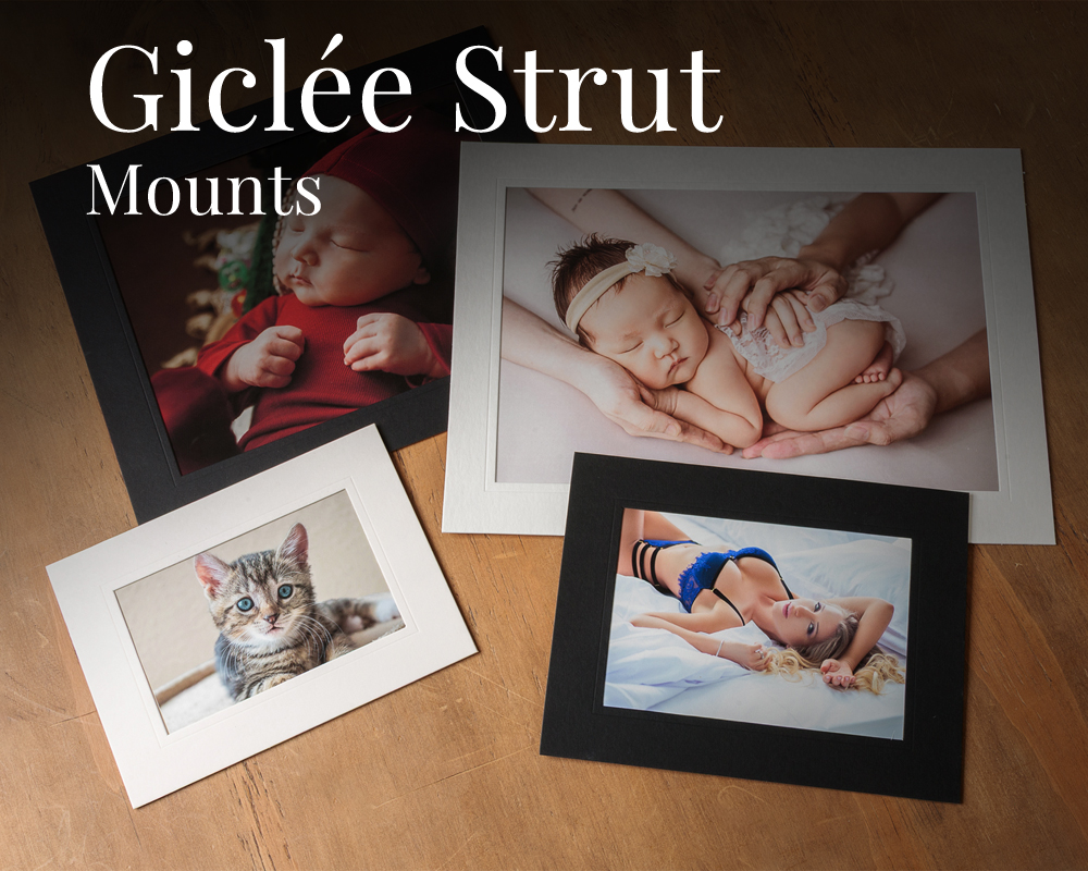 C41sPhoto's tweet photo. Display your images with timeless professionalism.
Our Giclée Strut Mounts are available in Black or Ivory with a debossed aperture line — perfect for newborn, wedding, portrait, and fine art photography. https://t.co/2yXuVtasys https://t.co/Pw3RmoNFim