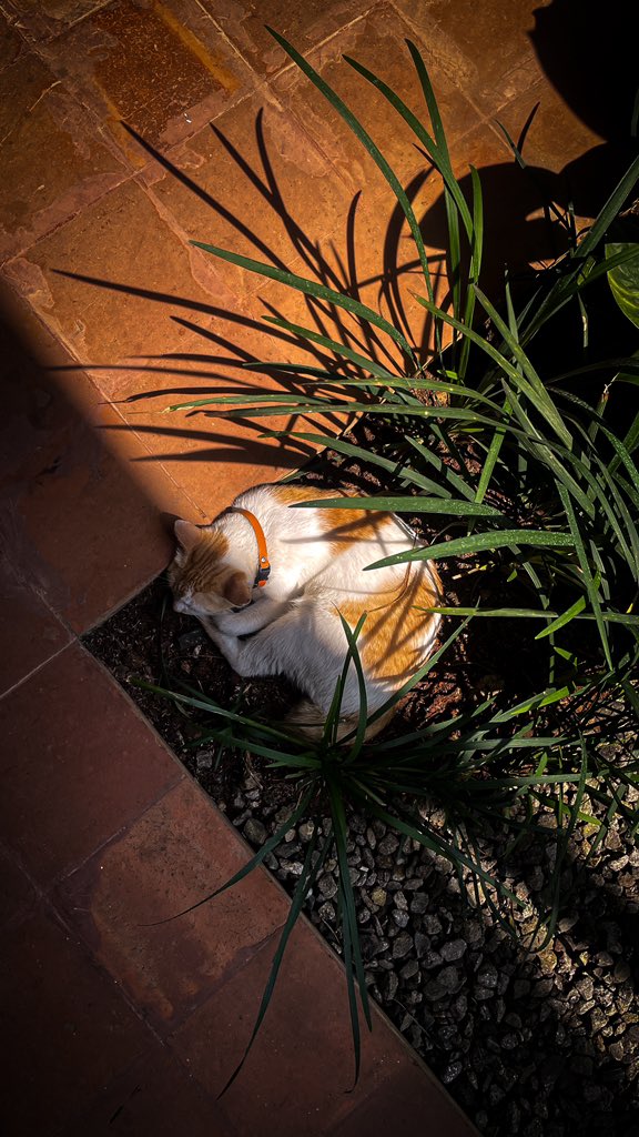 universe junkie 💫 tweet media