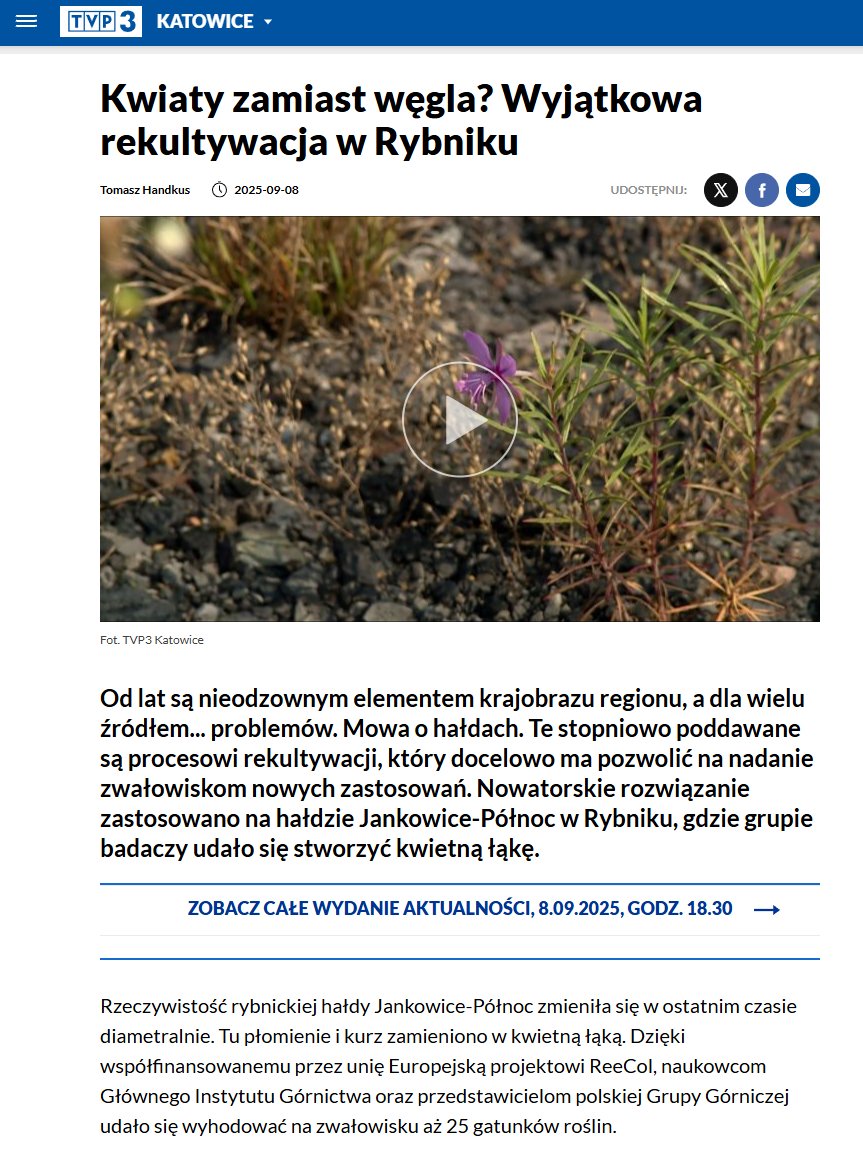 REECOL (@reecol_project) on Twitter photo TVP3 Katowice (regional public TV) also highlighted the successful #reclamation of the Jankowice-Północ #heap in Rybnik, Poland, carried out within the #REECOL project.
Article: "Flowers instead of coal? An exceptional reclamation in Rybnik" - tinyurl.com/2ta86wcx
<a href="/PGG_SA/">Polska Grupa Górnicza S.A.</a> TVP3 Katowice (regional public TV) also highlighted the successful #reclamation of the Jankowice-Północ #heap in Rybnik, Poland, carried out within the #REECOL project.
Article: "Flowers instead of coal? An exceptional reclamation in Rybnik" - tinyurl.com/2ta86wcx
<a href="/PGG_SA/">Polska Grupa Górnicza S.A.</a>