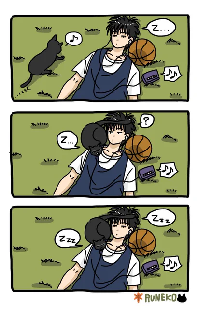 久々の流猫🍁🐈‍⬛ 