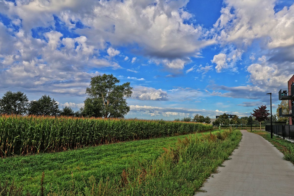 John Maenhout (@john_maenhout) on Twitter photo #vrtweer
<a href="/BuienradarBE/">BuienradarBE</a>
<a href="/HetweerinBelgie/">Meteo Reni - Het weer in België</a>
<a href="/hetweerlokaal/">Het Weer Lokaal</a>
Adegem 10h22 licht bewolkt 15°C #vrtweer
<a href="/BuienradarBE/">BuienradarBE</a>
<a href="/HetweerinBelgie/">Meteo Reni - Het weer in België</a>
<a href="/hetweerlokaal/">Het Weer Lokaal</a>
Adegem 10h22 licht bewolkt 15°C
