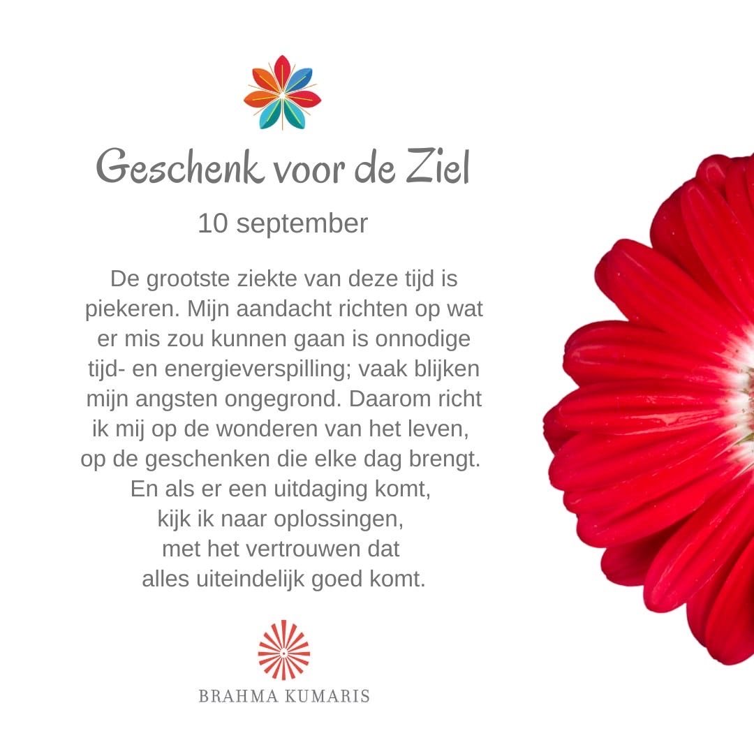 MentalFreedomUS's tweet photo. Geschenk voor de ziel. #10september https://t.co/pR5GEys1H5
