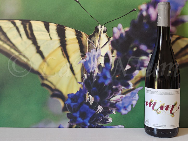 #degustazioni
ROSSO 6 GEMME 2023 CANTINA DEL TUFAIO
Altro vino che fa parte del progetto 6 Gemme, fortemente voluto da Nicoletta Loreti, che si fregia di etichette firmate da Fran Fernandéz, decisamente particolari, circondano quasi completamente la…
lavinium.it/rosso-6-gemme-…