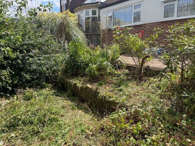 MyGardenTeam's tweet photo. Restoring a garden with a GardenAdvice MyGardenTeam member means working steadily, uncovering hidden gems &amp; keeping the character of the space alive.

See how we’re bringing a 1970s garden in North Sidcup back to life 👉 https://t.co/VC3Tr0p821

#GardenAdvice #GardenRestoration https://t.co/usFeXCzKFe