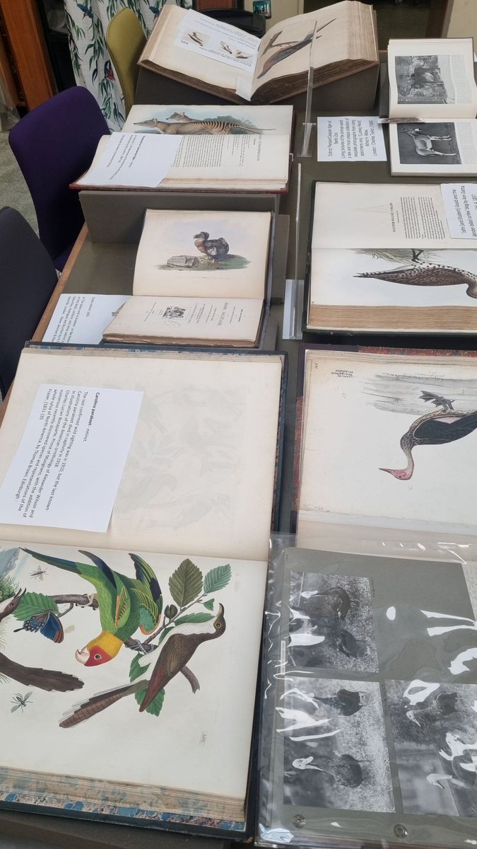 ZSLLibrary's tweet image. A display of items about a few extinct and endangered species in our #specialcollections.
In our Library for a special event later today. If you would like to take the opportunity to view these displays do come in today before 3pm. 🦤