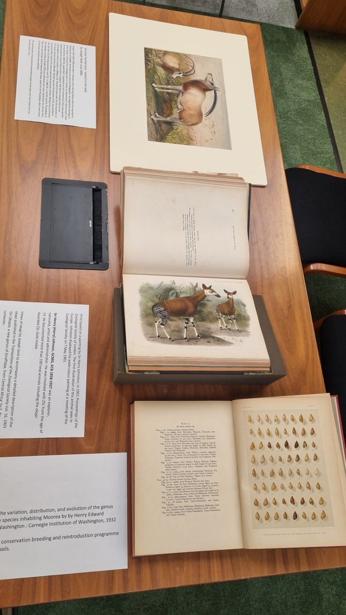 ZSLLibrary's tweet image. A display of items about a few extinct and endangered species in our #specialcollections.
In our Library for a special event later today. If you would like to take the opportunity to view these displays do come in today before 3pm. 🦤