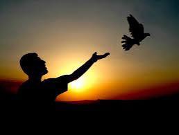 “Kuşların yaşamına yakından bakarsak şunu farkederiz: tamamen özgür bırakıldıklarında yuvalarından çok fazla uzaklaşmazlar.
İnsanlar için de böyledir. Özgürüz diye illa kaçıp gitmeyiz. Yuvada her şey yolundaysa hep oraya geri döneriz. Birini alıkoymanın ya da korumanın en iyi